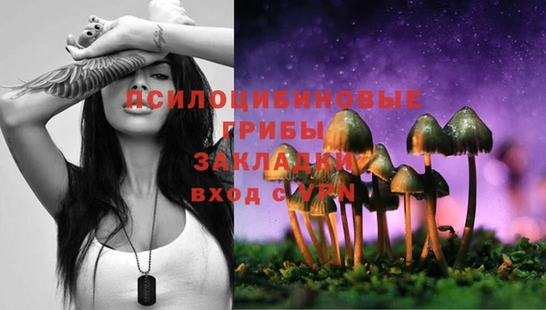ПСИЛОЦИБИНОВЫЕ ГРИБЫ Ростов