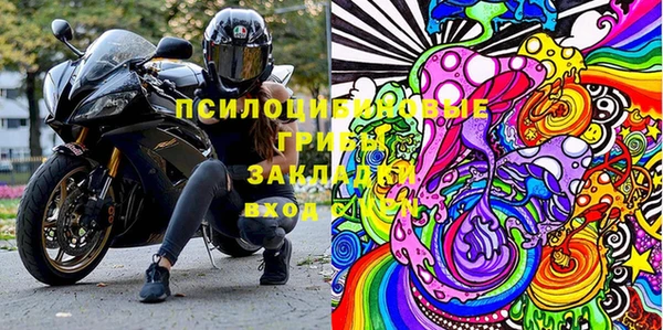 а пвп мука Рославль
