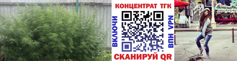 ТГК жижа  МЕГА зеркало  Архангельск 