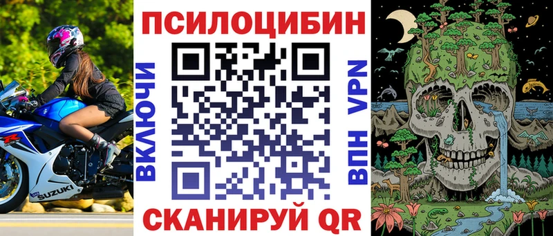 Галлюциногенные грибы MAGIC MUSHROOMS  как найти наркотики  Архангельск 
