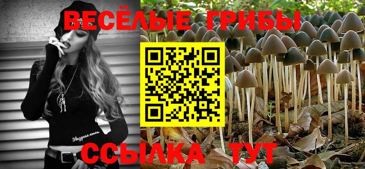 Псилоцибиновые грибы прущие грибы  Вход с VPN  Архангельск 