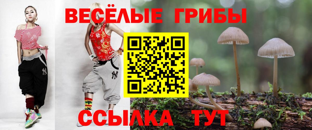 Псилоцибиновые грибы Psilocybine cubensis Архангельск