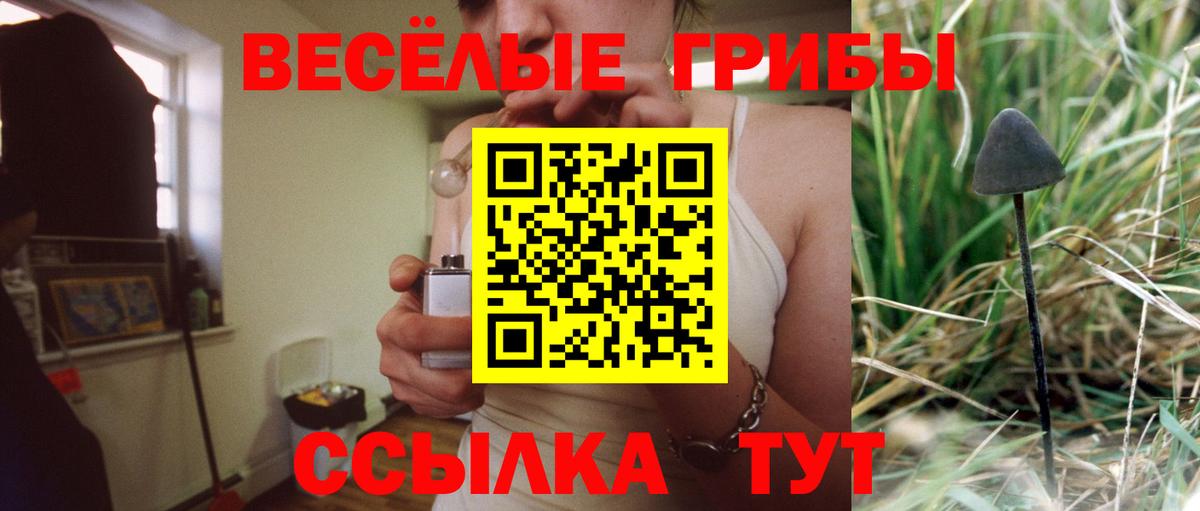 Галлюциногенные грибы Cubensis Архангельск
